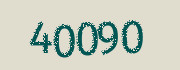 Security check