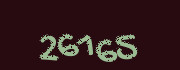 Security check