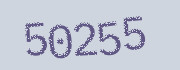 Security check